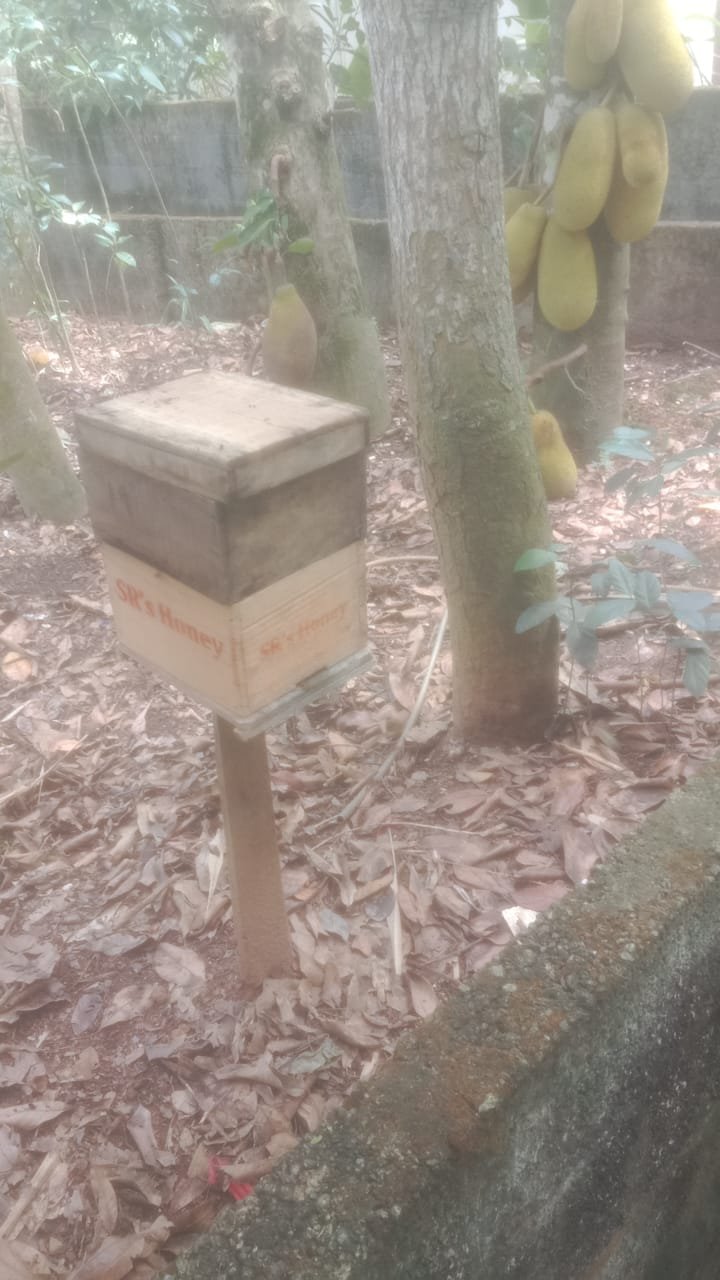 Beehive boxes at the farm