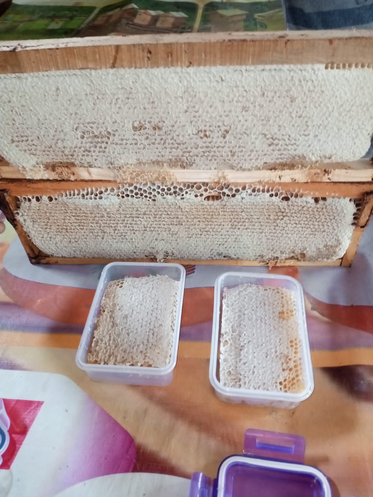 Cut honeycomb pieces ready for sale